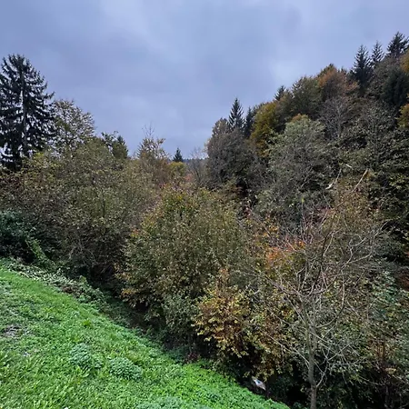 Ferienhaus Ss Pohorje Hočko Pohorje