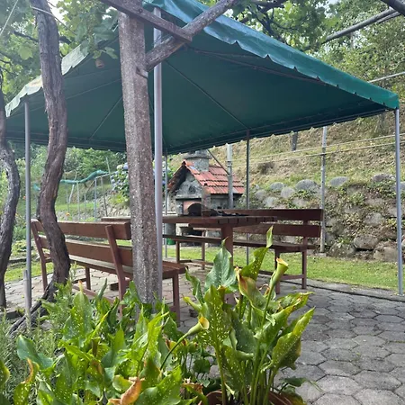 Dom wakacyjny Ss Pohorje