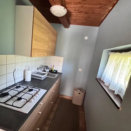 Ferienhaus Ss Pohorje Hočko Pohorje
