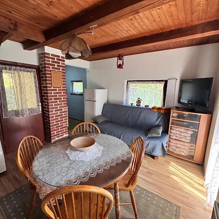 Ss Pohorje Casa vacanze *