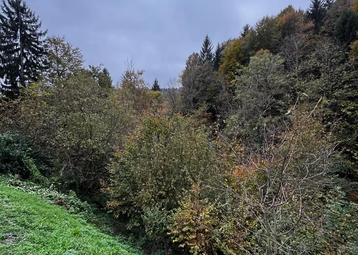 펜션 Ss Pohorje 호코포호르예