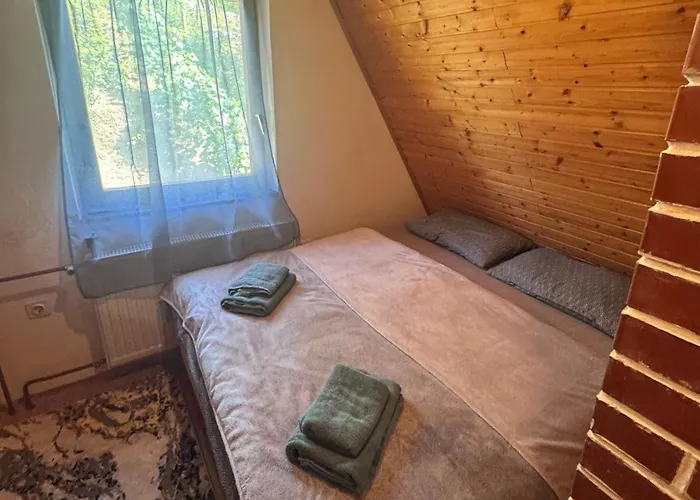 Ss Pohorje 펜션 호코포호르예