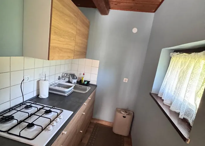 펜션 Ss Pohorje 호코포호르예