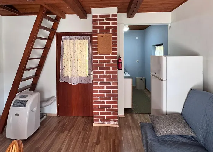 펜션 Ss Pohorje 호코포호르예