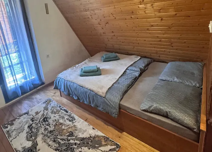 펜션 Ss Pohorje 호코포호르예